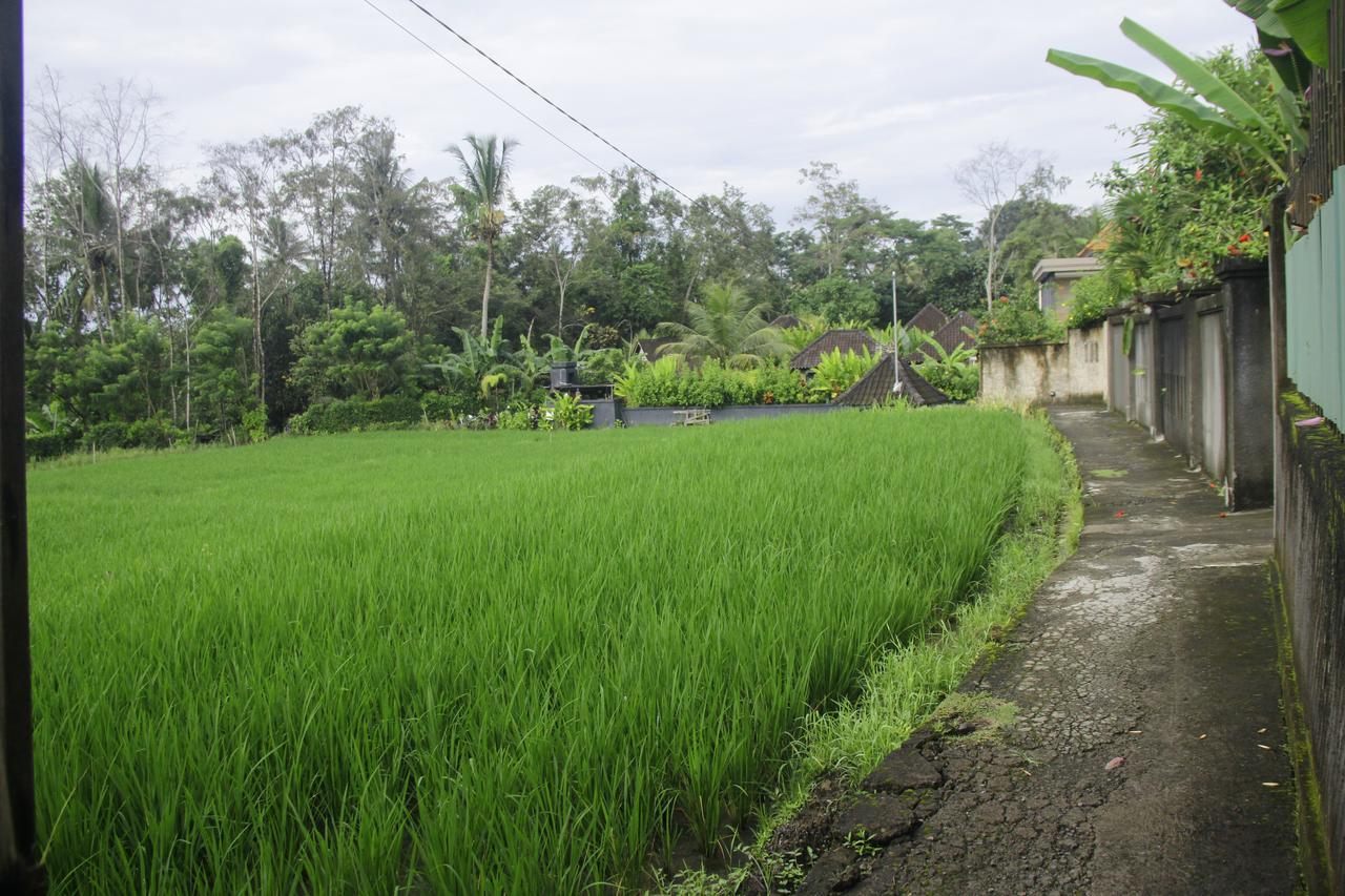 Ratna Villa 4 Ubud Exterior foto